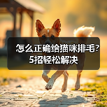 怎么正确给猫咪排毛?5招轻松解决(图1) 怎么正确给猫咪排毛|5招轻松解决毛球问题全攻略(图1)