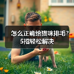 怎么正确给猫咪排毛?5招轻松解决(图3) 怎么正确给猫咪排毛|5招轻松解决毛球问题全攻略(图3)