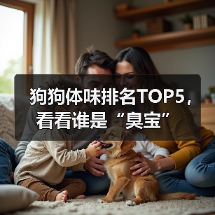 狗狗体味排名TOP5,看看谁是“臭宝”(图3) 狗狗体味排名TOP5|如何有效改善宠物异味问题(图3)