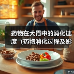犬胃药物消化速度解析及影响因素｜实用指南(图2)