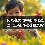 犬胃药物消化速度解析及影响因素｜实用指南(图4)