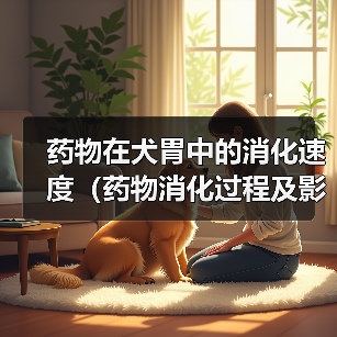犬胃药物消化速度解析及影响因素｜实用指南(图1)