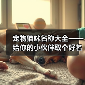 宠物猫咪名称大全——给你的小伙伴取个好名字(宠物猫咪名字大全,帮你找到最适合的名字)(图4) 宠物猫咪名字大全|创意取名全攻略(图4)