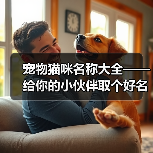 宠物猫咪名称大全——给你的小伙伴取个好名字(宠物猫咪名字大全,帮你找到最适合的名字)(图1) 宠物猫咪名字大全|创意取名全攻略(图1)