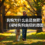 狗狗为什么总是臭屁?(揭秘狗狗臭屁的原因和解决方法)(图4) 狗狗臭屁原因及解决方法|实用指南(图4)