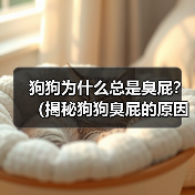 狗狗为什么总是臭屁?(揭秘狗狗臭屁的原因和解决方法)(图3) 狗狗臭屁原因及解决方法|实用指南(图3)