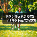 狗狗为什么总是臭屁?(揭秘狗狗臭屁的原因和解决方法)(图1) 狗狗臭屁原因及解决方法|实用指南(图1)
