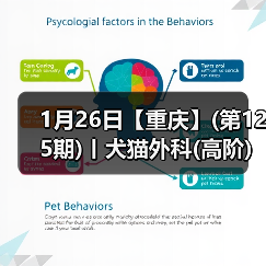 犬猫外科高阶实操班｜SUB技术与复杂手术全解析(图3)