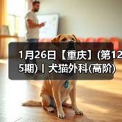 犬猫外科高阶实操班｜SUB技术与复杂手术全解析(图4)