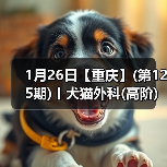 犬猫外科高阶实操班｜SUB技术与复杂手术全解析(图1)