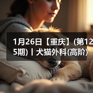 犬猫外科高阶实操班｜SUB技术与复杂手术全解析(图2)