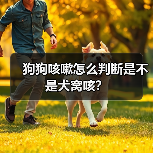 狗狗咳嗽怎么判断是不是犬窝咳?(图3) 狗狗咳嗽是否犬窝咳?判断方法与应对措施(图3)