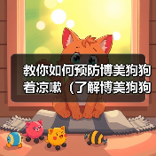 博美狗狗预防着凉咳嗽指南｜科学护理全攻略(图4)