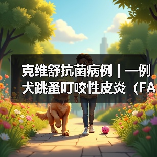 犬跳蚤叮咬性皮炎病例分析｜综合治疗全攻略(图3)