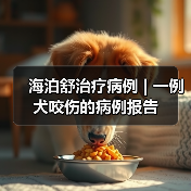海泊舒治疗病例 | 一例犬咬伤的病例报告(图4) 犬咬伤感染治疗案例|保守方案应对心脏病患(图4)
