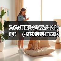 狗狗打四联疫苗时间全攻略｜科学接种指南(图2)