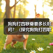 狗狗打四联疫苗时间全攻略｜科学接种指南(图1)