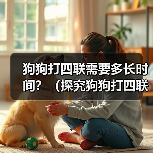 狗狗打四联疫苗时间全攻略｜科学接种指南(图3)