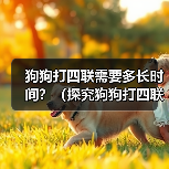 狗狗打四联疫苗时间全攻略｜科学接种指南(图4)