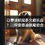 以泰迪断尾多久能长皮?(探索泰迪断尾愈合时间及注意事项)(图4) 泰迪断尾愈合时间及护理要点|宠物术后恢复全攻略(图4)