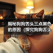 揭秘狗狗舌头三点黑色的原因(探究狗狗舌头黑点的成因与对健康的影响)(图3) 狗狗舌头三点黑色原因解析|健康影响全攻略(图3)