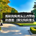 揭秘狗狗舌头三点黑色的原因(探究狗狗舌头黑点的成因与对健康的影响)(图4) 狗狗舌头三点黑色原因解析|健康影响全攻略(图4)