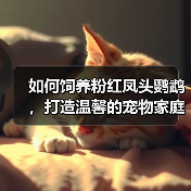 如何饲养粉红凤头鹦鹉,打造温馨的宠物家庭(从购买到喂养,全面解析饲养技巧)(图3) 粉红凤头鹦鹉饲养全攻略|温馨家庭必备技巧(图3)