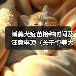 博美犬疫苗接种时间及注意事项(关于博美犬疫苗接种的时间要点,了解宠物健康的必备知识)(图3) 博美犬疫苗接种时间与注意事项全攻略(图3)