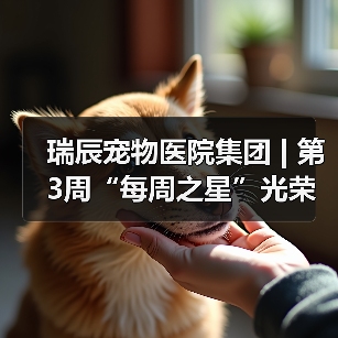 瑞辰宠物医院集团 | 第3周“每周之星”光荣榜(图3) 瑞辰每周之星评选|榜样力量激励团队成长(图3)