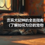 贵宾犬配种的全面指南(了解如何为您的宠物贵宾犬选择合适的伴侣)(图1) 贵宾犬配种指南|如何选择合适伴侣全攻略(图1)