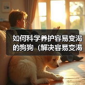 如何科学养护容易变渴的狗狗(解决容易变渴狗狗的饮水难题,让它们健康成长)(图3) 容易变渴狗狗科学养护方法|饮水难题解决全攻略(图3)