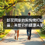 新买回家的狗狗需打疫苗,关爱它的健康从第一针开始(了解狗狗疫苗接种时机,让它免受疾病侵害)(图3) 新买狗狗疫苗接种指南|第一针到终身保护全解析(图3)