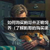 如何购买鹩哥并正确饲养(了解鹩哥的购买渠道和饲养方法,让它们健康快乐成长)(图3) 如何购买饲养鹩哥|全面指南与实用技巧(图3)