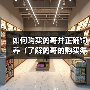 如何购买鹩哥并正确饲养(了解鹩哥的购买渠道和饲养方法,让它们健康快乐成长)(图2) 如何购买饲养鹩哥|全面指南与实用技巧(图2)