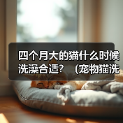 四个月大的猫什么时候洗澡合适?(宠物猫洗澡频率与方法的探讨)(图2) 四个月大猫咪洗澡指南|正确频率与方法全解析(图2)