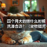 四个月大的猫什么时候洗澡合适?(宠物猫洗澡频率与方法的探讨)(图3) 四个月大猫咪洗澡指南|正确频率与方法全解析(图3)