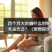 四个月大的猫什么时候洗澡合适?(宠物猫洗澡频率与方法的探讨)(图1) 四个月大猫咪洗澡指南|正确频率与方法全解析(图1)