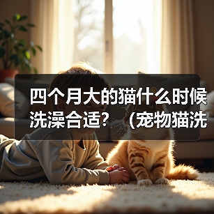 四个月大的猫什么时候洗澡合适?(宠物猫洗澡频率与方法的探讨)(图4) 四个月大猫咪洗澡指南|正确频率与方法全解析(图4)