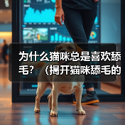 为什么猫咪总是喜欢舔毛?(揭开猫咪舔毛的5个原因)(图3) 猫咪舔毛原因揭秘|科学解析与实用建议(图3)