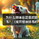 为什么猫咪总是喜欢舔毛?(揭开猫咪舔毛的5个原因)(图2) 猫咪舔毛原因揭秘|科学解析与实用建议(图2)