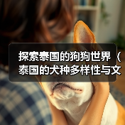 探索泰国的狗狗世界(泰国的犬种多样性与文化传承)(图4) 泰国犬种文化与特色|探索多样性与传统传承(图4)