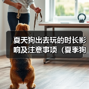 夏季狗狗外出玩耍时长指南｜注意事项全解析(图2)