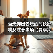 夏季狗狗外出玩耍时长指南｜注意事项全解析(图1)
