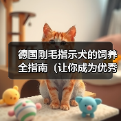 德国刚毛指示犬饲养指南｜全面实用技巧(图4)