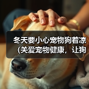 冬天要小心宠物狗着凉(关爱宠物健康,让狗狗过一个温暖的冬天)(图4) 冬天宠物狗防寒指南|温暖过冬全攻略(图4)