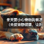 冬天要小心宠物狗着凉(关爱宠物健康,让狗狗过一个温暖的冬天)(图3) 冬天宠物狗防寒指南|温暖过冬全攻略(图3)