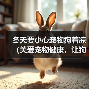 冬天要小心宠物狗着凉(关爱宠物健康,让狗狗过一个温暖的冬天)(图1) 冬天宠物狗防寒指南|温暖过冬全攻略(图1)