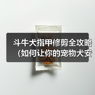 斗牛犬指甲修剪全攻略(如何让你的宠物犬安心完成修剪,避免意外伤害)(图1) 斗牛犬指甲修剪技巧全攻略|宠物护理核心指南(图1)