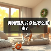 狗狗舌头发紫是怎么回事?(图1) 狗狗舌头发紫原因及应对方法|健康预警全攻略(图1)
