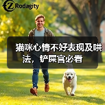 猫咪心情不好表现及哄法,铲屎官必看(图2) 猫咪心情不好表现及哄法|铲屎官必看实用指南(图2)